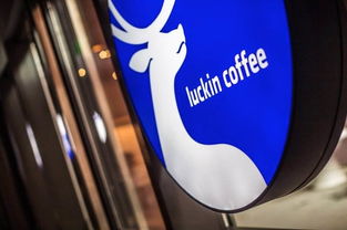 蔚來汽車任命新CFO與摩拜單車調(diào)價 兩家出行巨頭的戰(zhàn)略調(diào)整